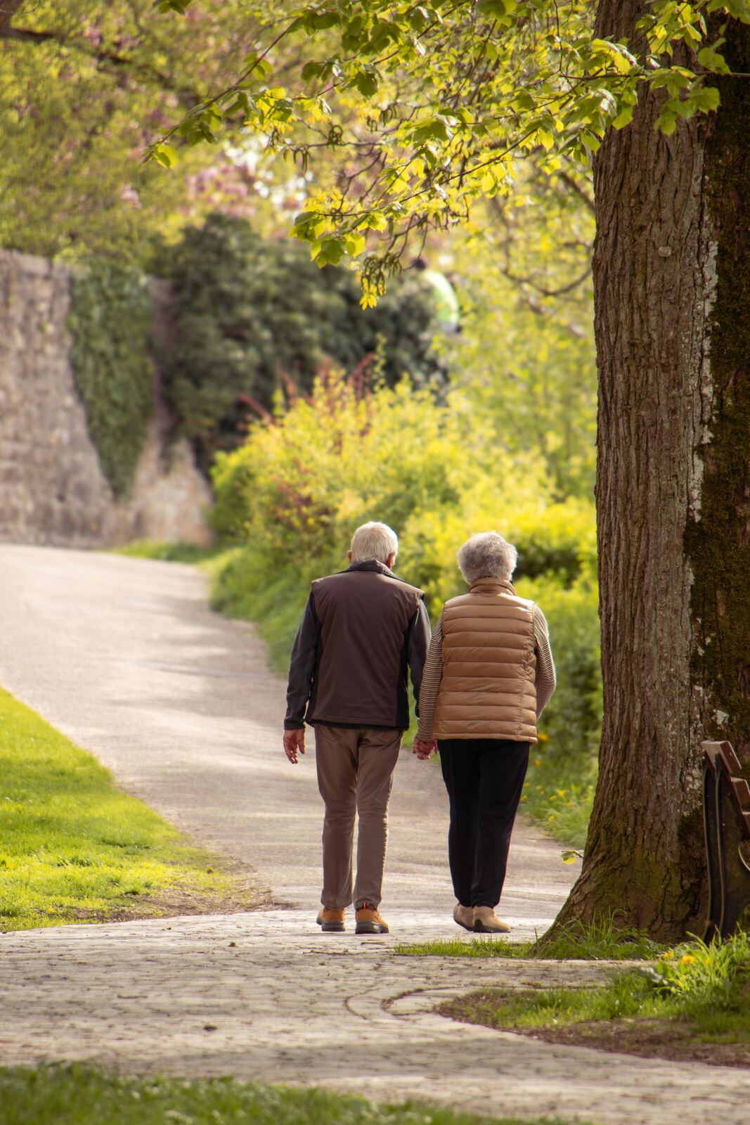 Elderly couple walking together along a tree-lined path on a sunny afternoon
